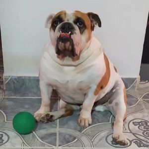 Meet your Posher, Diego